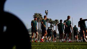 Marbella13