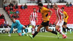 Stoke 8