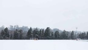 Snow T2