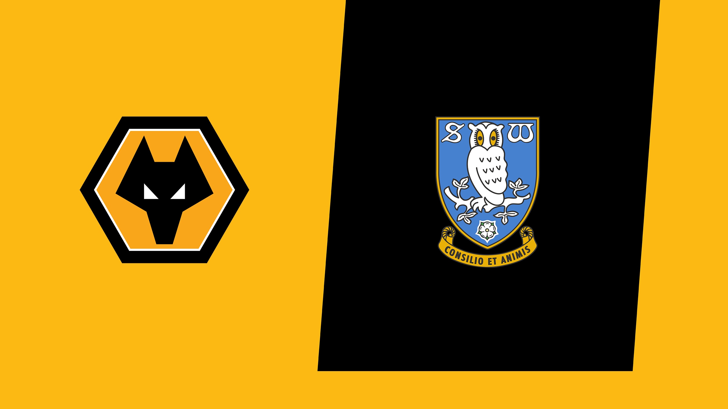 Match Preview | Wolves v Sheffield Wednesday | Men's First-Team | News ...