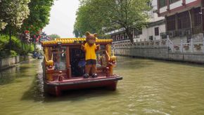 Wolfie in China7.jpg (1)
