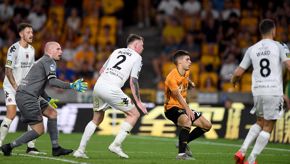 Crusaders H 16.jpg