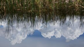 Everglade 13