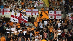 Wolves Museum appeal for supporter flags