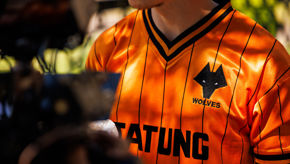 Dear Wolverhampton BTS10