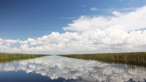 Everglade 21